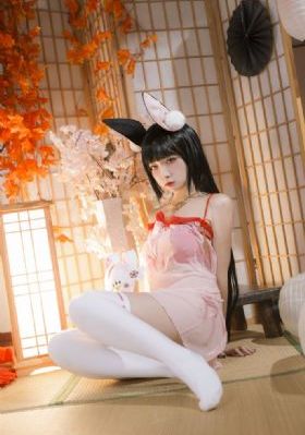 暴风女神电影完整版免费观看_BD国语高清完整版播放
